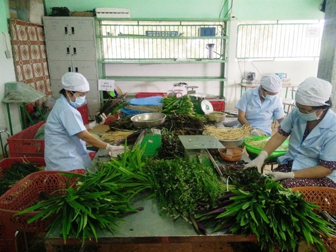 14-30-30 nh-1-bi-chuoi-thuc-phm-long-n