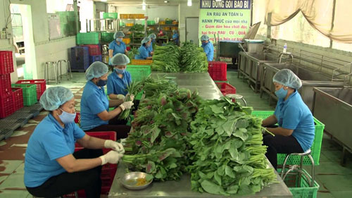 146953017426032-dv-chinh