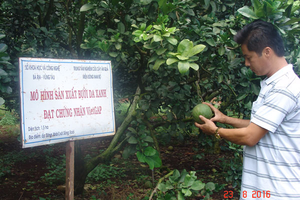 147203601433449-dv---3