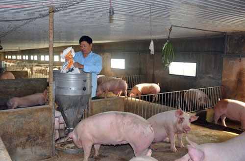 14731582814825-dv-phu