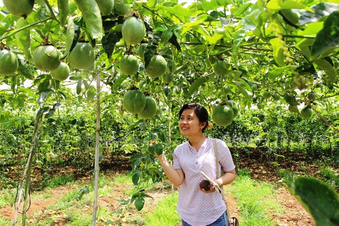 16-48-09 nh-gui-chnh-dy-dk-nong-2