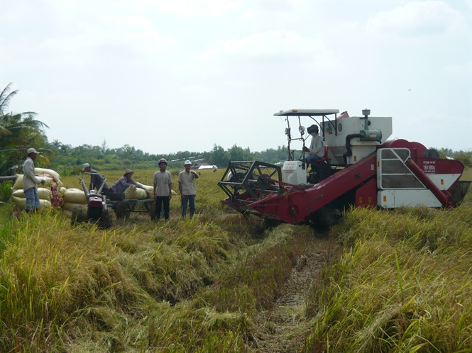 17-04-15 cnh-dong-lon-x-my-cm-cng-long-tr-vinh
