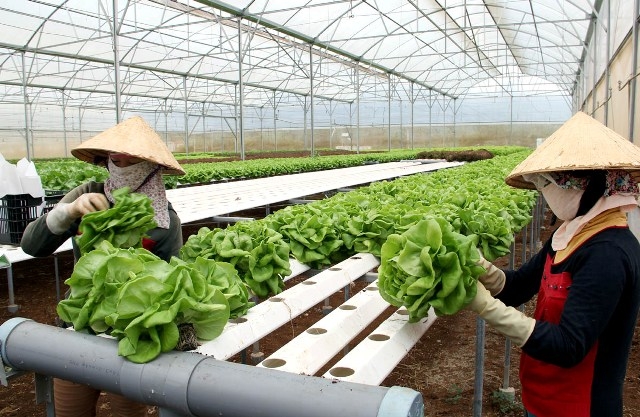 anhbaiduoitrang62018