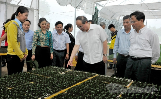 chu-tich-nguyen-thien-nhan-tham-quan-mo-hinh-htx-nong-nghiep-tan-binh-2-180032