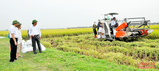 images1642381 d ch v n ng nghi p m nh d n u t kinh doanh d ch v m y n ng nghi p c hi u qu