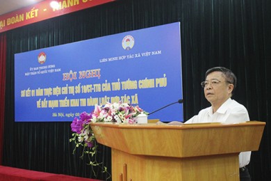 mttq vca so ket chi thi 19 7 390 260