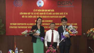 vca ilo dgrv 2 390 220